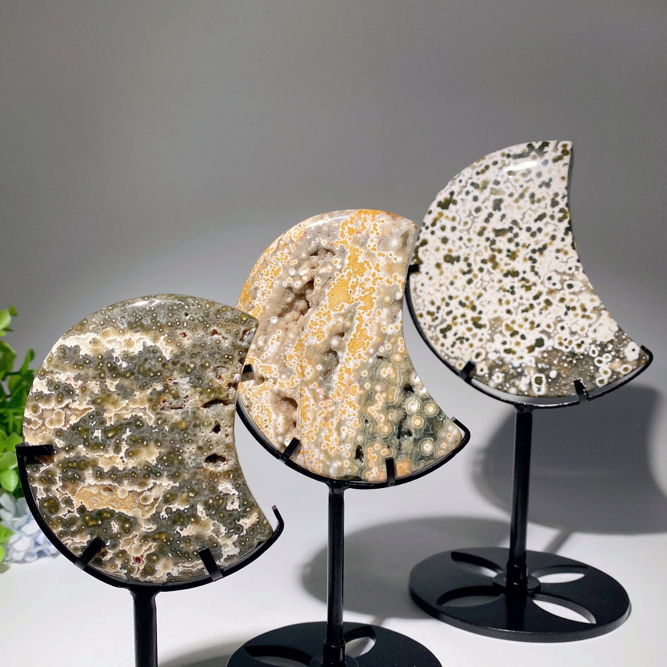 Ocean Jasper Moon Crystal 2.5-4.6 Inches for Healing