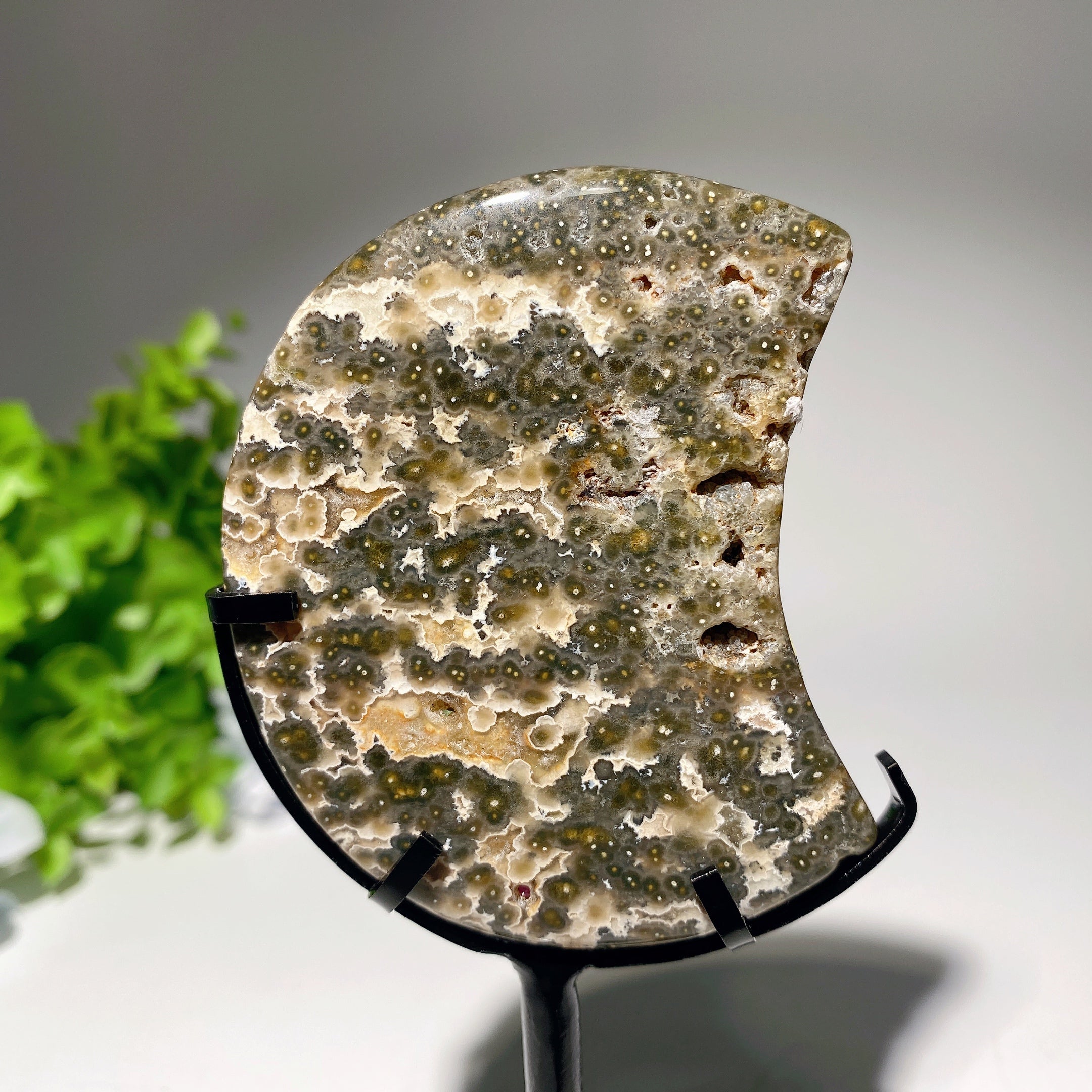 Ocean Jasper Moon Crystal 2.5-4.6 Inches for Healing