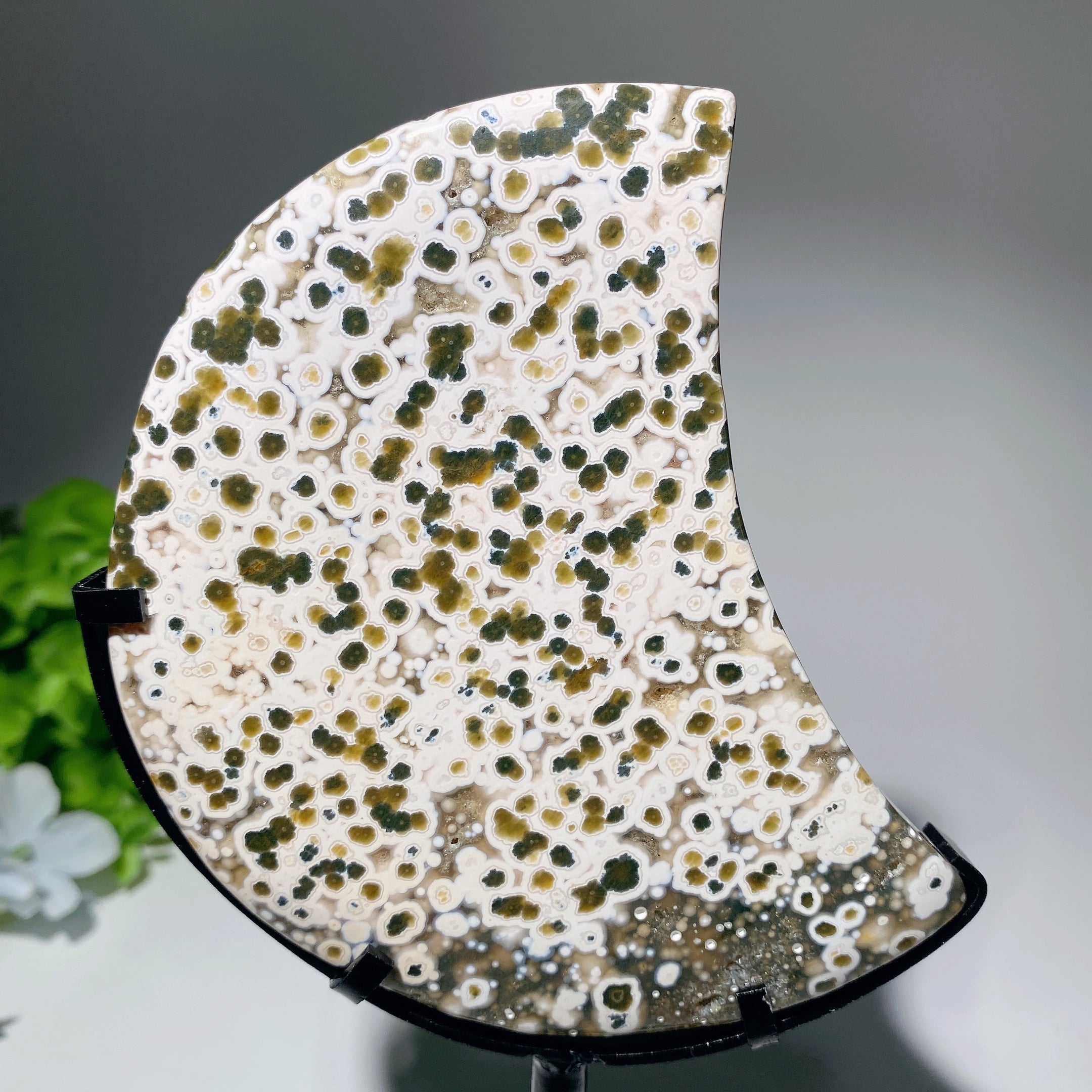 Ocean Jasper Moon Crystal 2.5-4.6 Inches for Healing