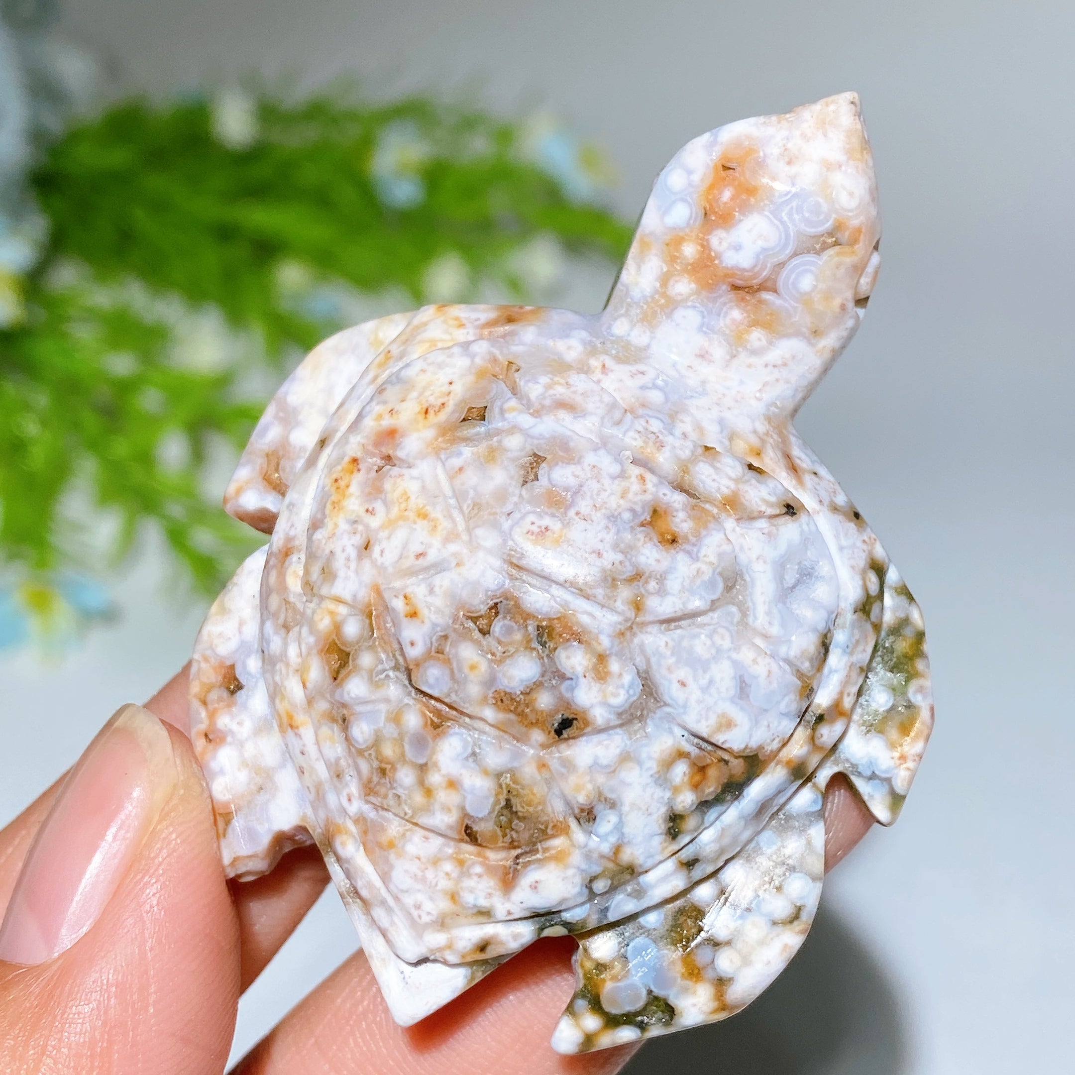 Ocean Jasper Turtle Carving 2.1-3.0 inch Crystal Animal