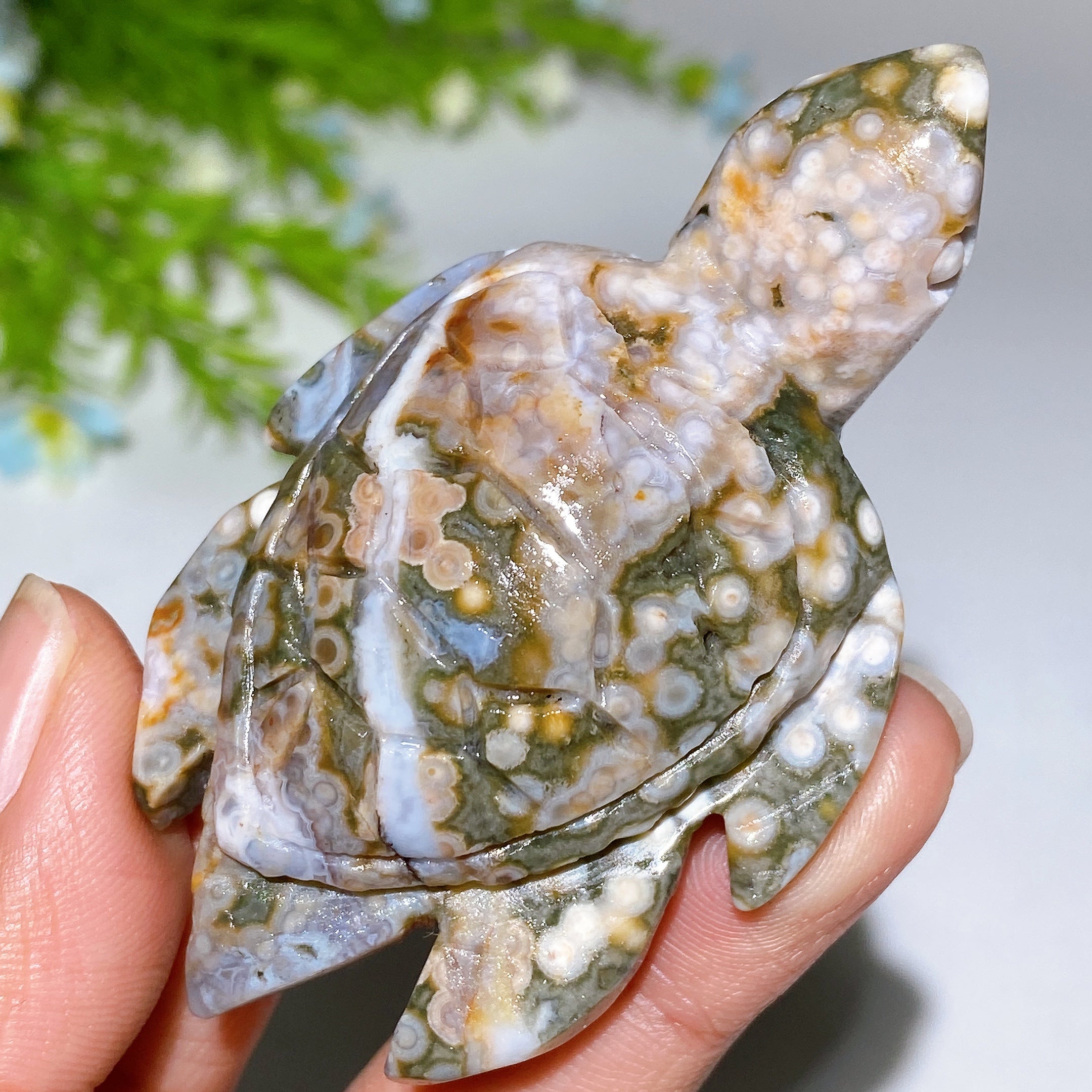 Ocean Jasper Turtle Carving 2.1-3.0 inch Crystal Animal