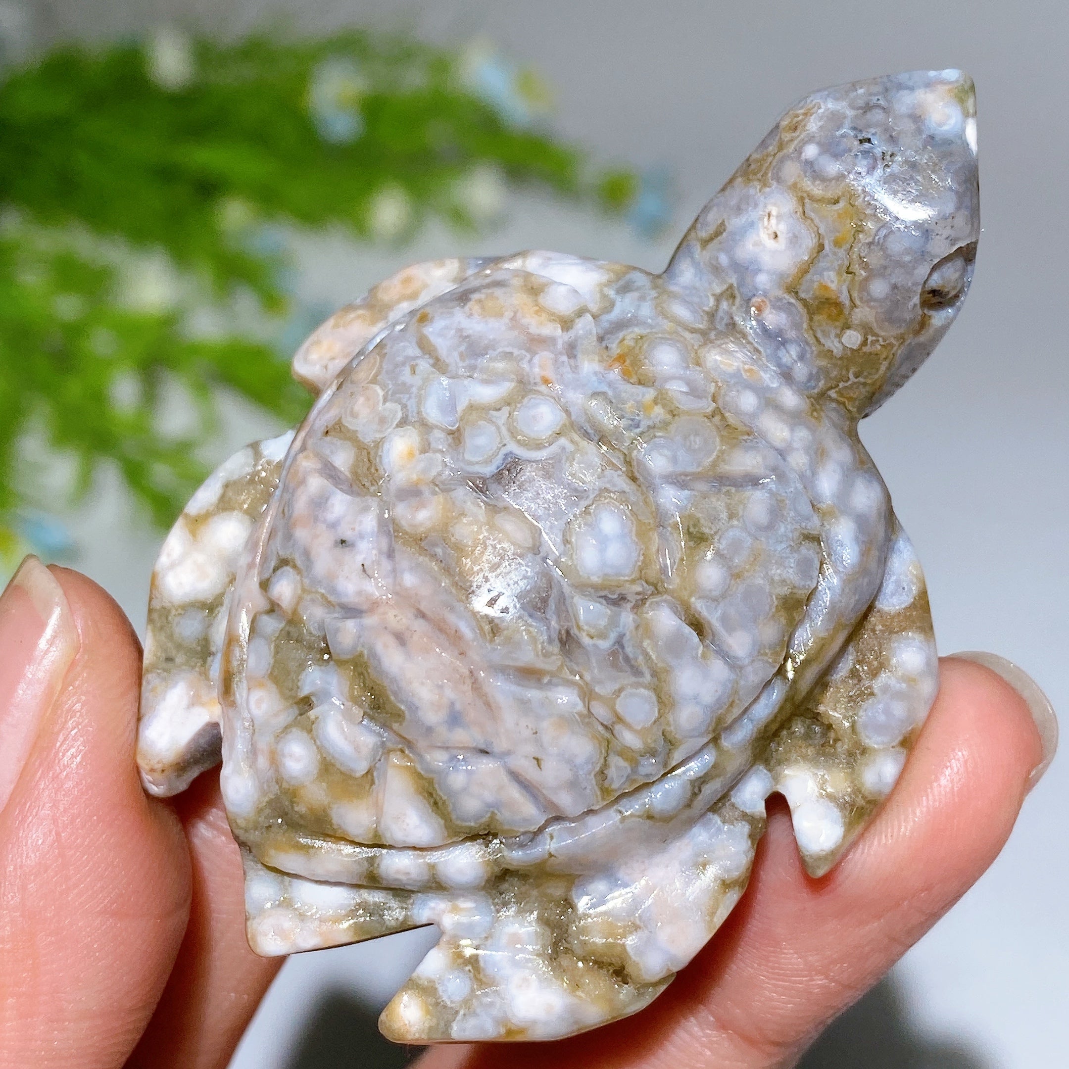 Ocean Jasper Turtle Carving 2.1-3.0 inch Crystal Animal