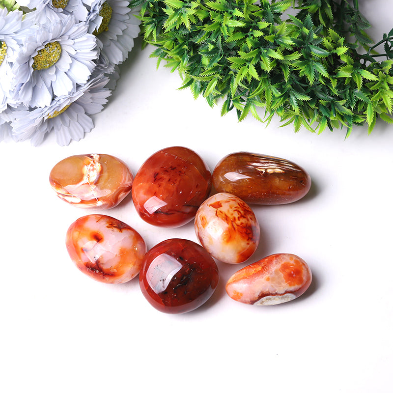 Polished Carnelian Palm Stone 1.2"-3.0" for Healing