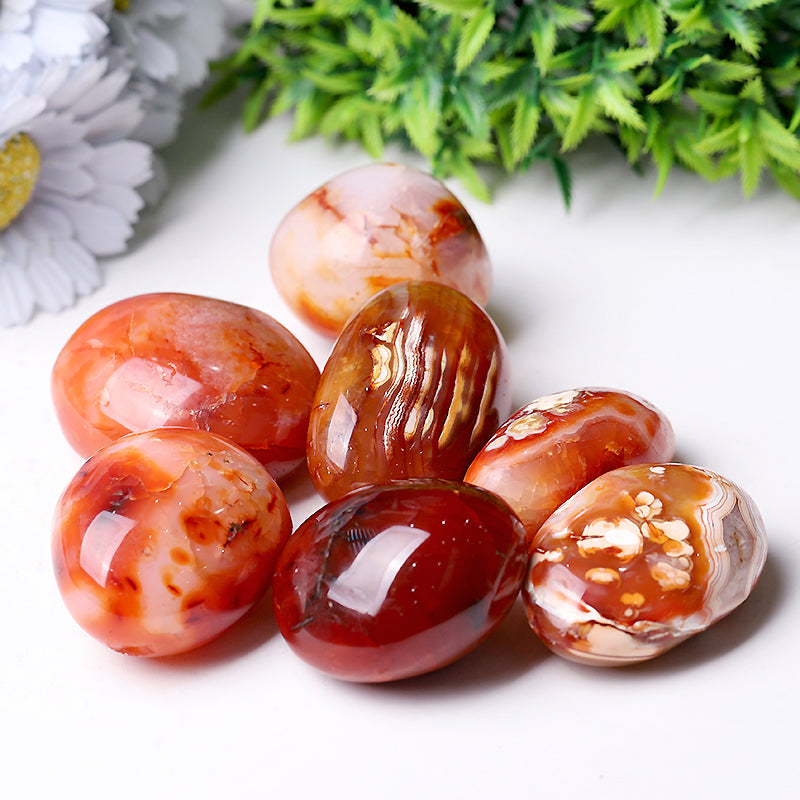 Polished Carnelian Palm Stone 1.2"-3.0" for Healing