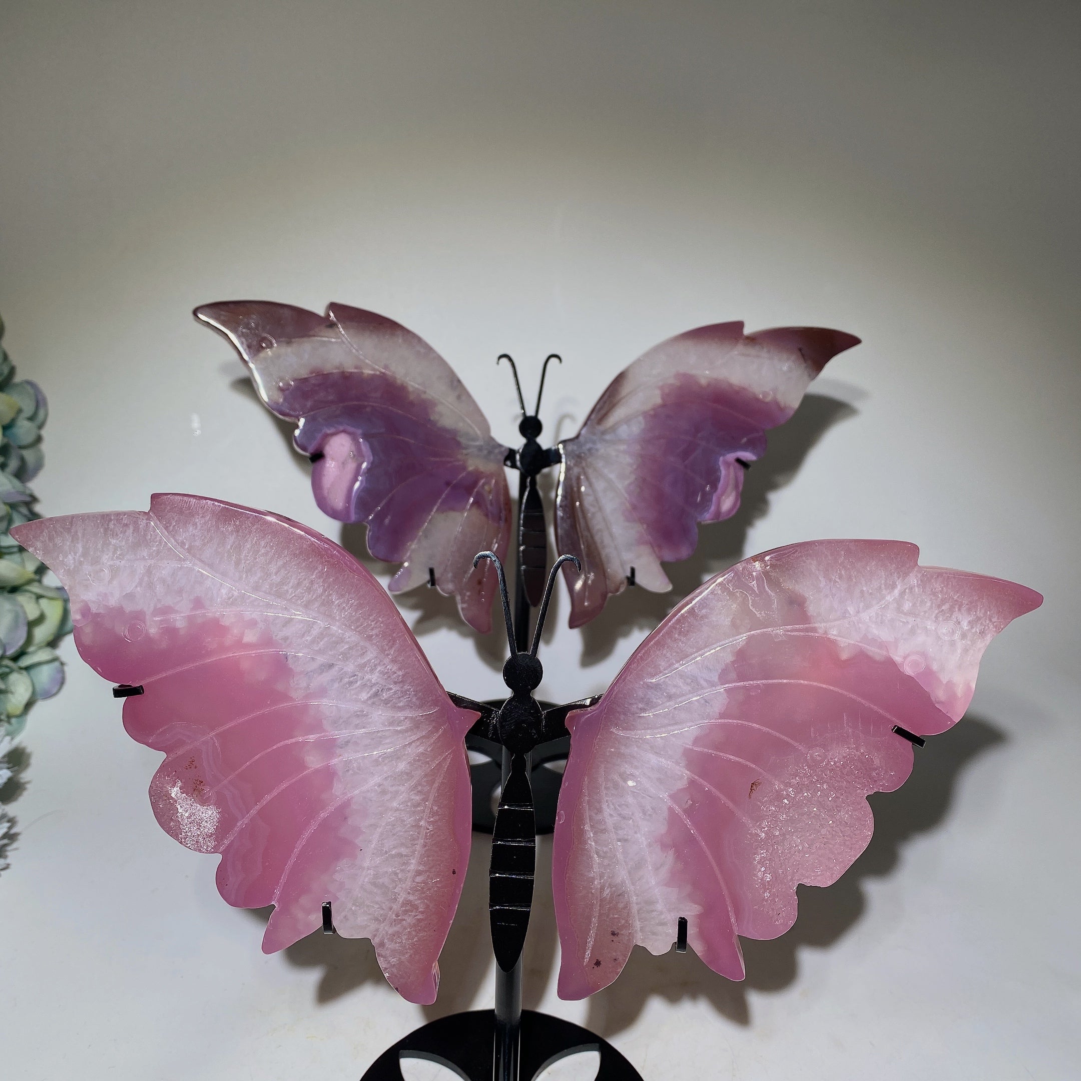 Purple Rose Druzy Agate Butterfly Wings Crystal Display 20-25cm