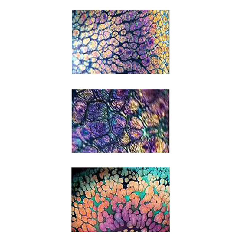 Sakura Jianzhan Ceramic Tea Cup 140ml Cherry Blossom Design