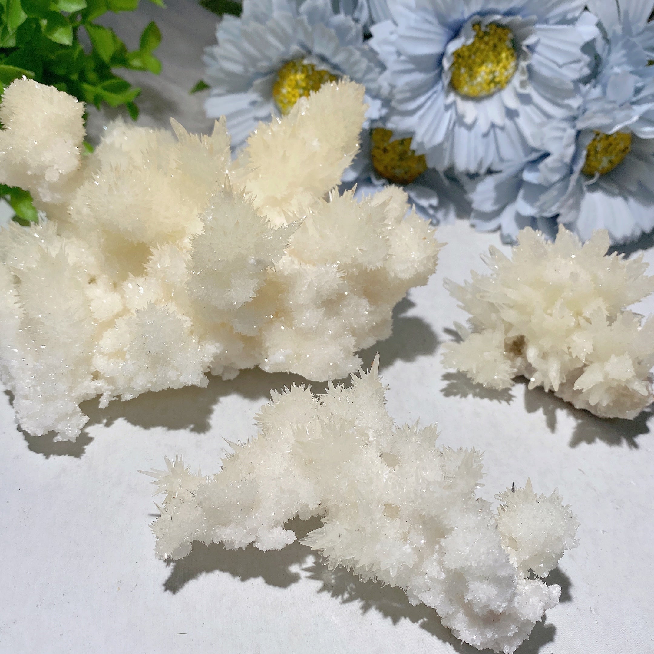 Selenite & Calcite Crystal Specimen 0.2-0.5kg Healing Stone