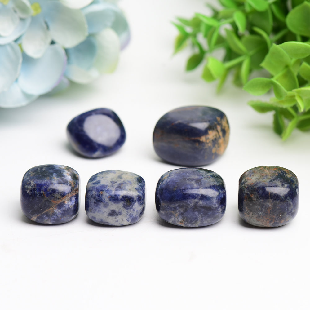 Sodalite Tumbled Stones Polished 2cm Healing Crystals