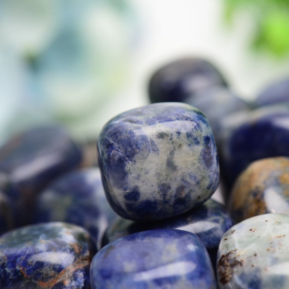 Sodalite Tumbled Stones Polished 2cm Healing Crystals