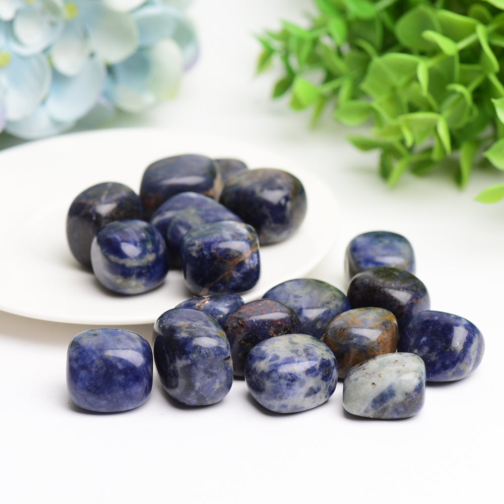 Sodalite Tumbled Stones Polished 2cm Healing Crystals