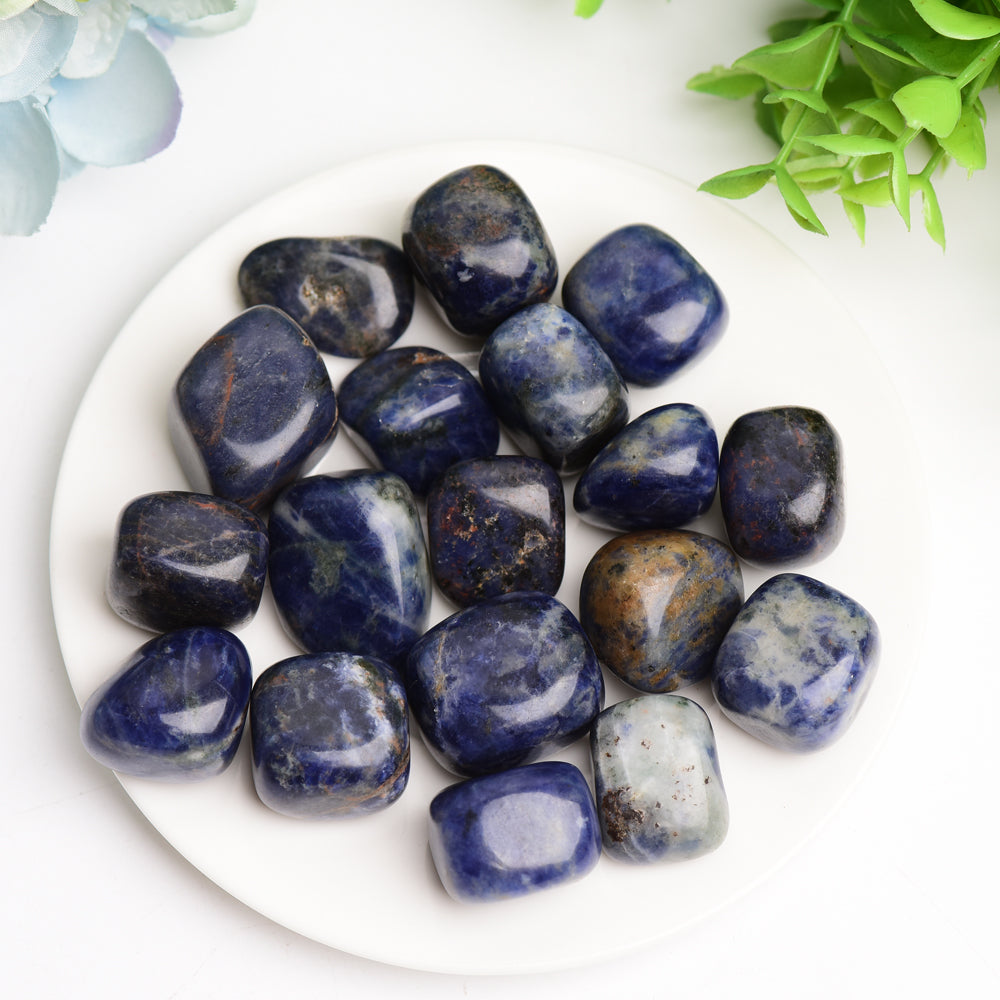 Sodalite Tumbled Stones Polished 2cm Healing Crystals