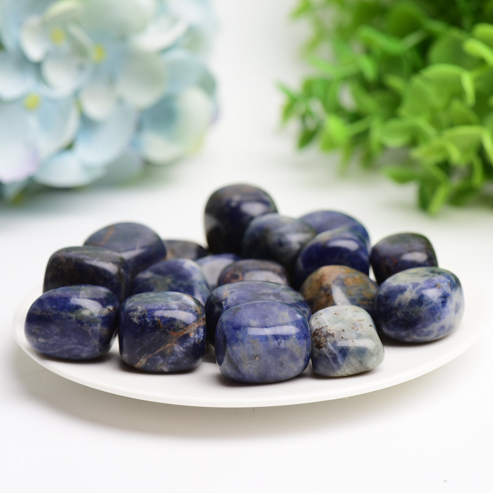 Sodalite Tumbled Stones Polished 2cm Healing Crystals