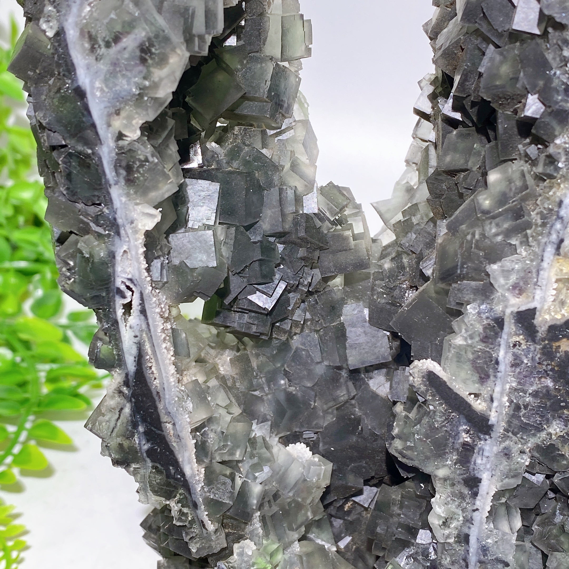 Unique 20cm Sphalerite & Fluorite Crystal Specimen Healing