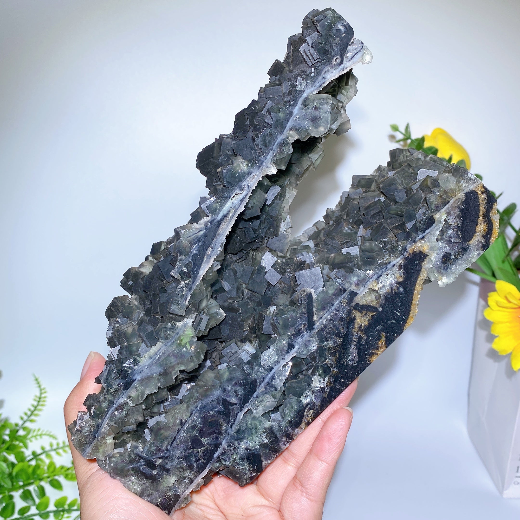 Unique 20cm Sphalerite & Fluorite Crystal Specimen Healing