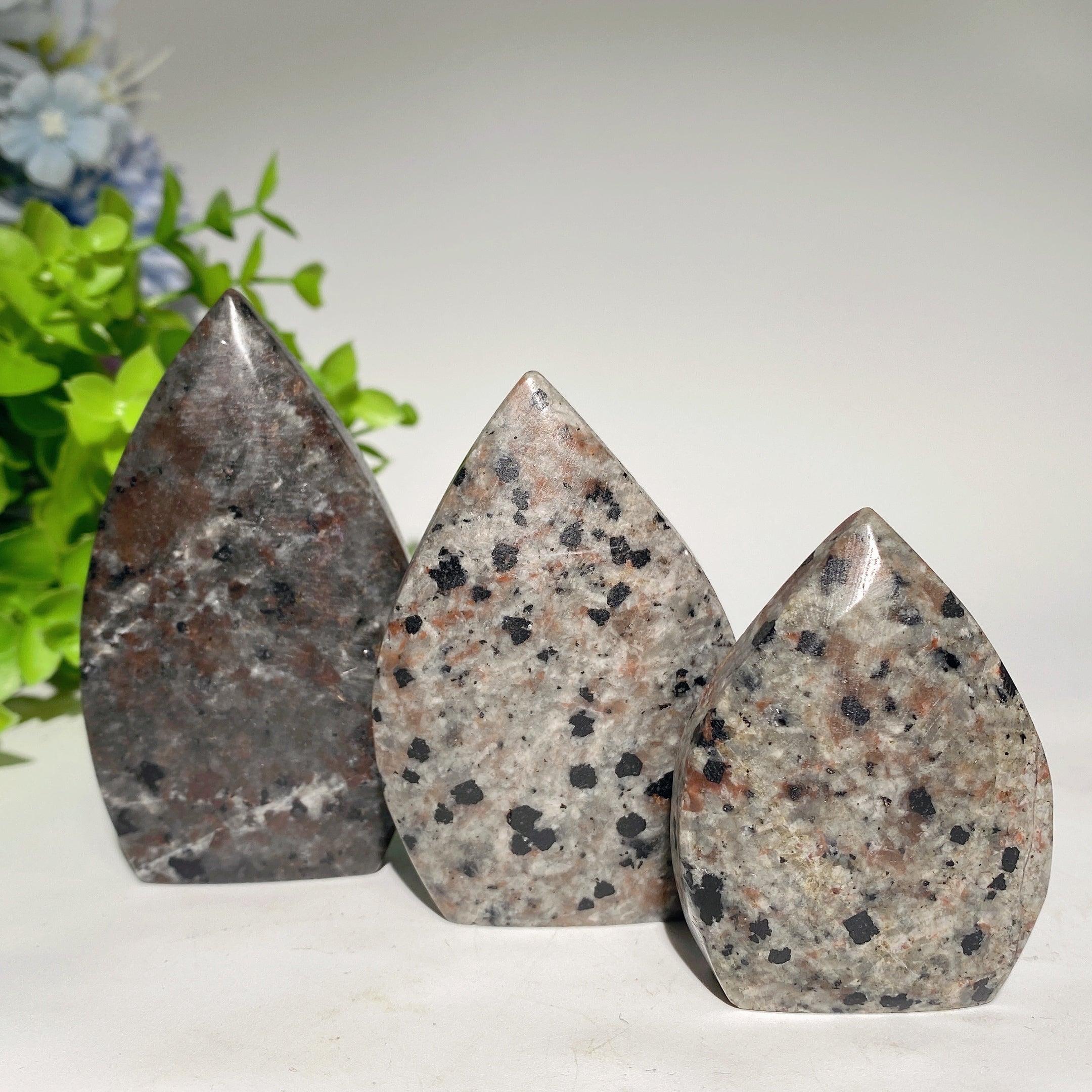 Yooperlite Free Form Crystal 2-3.5 inch Healing Stones