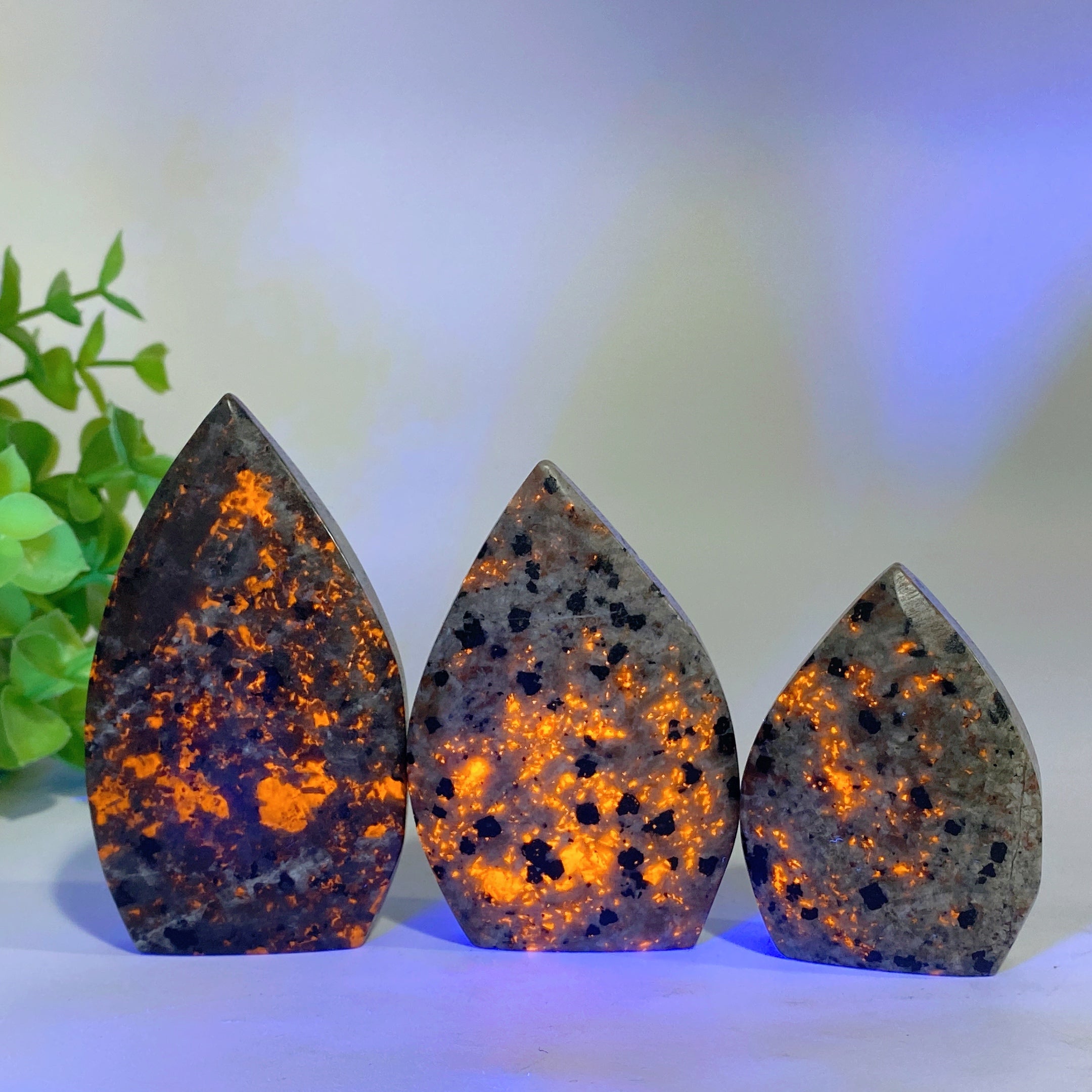 Yooperlite Free Form Crystal 2-3.5 inch Healing Stones