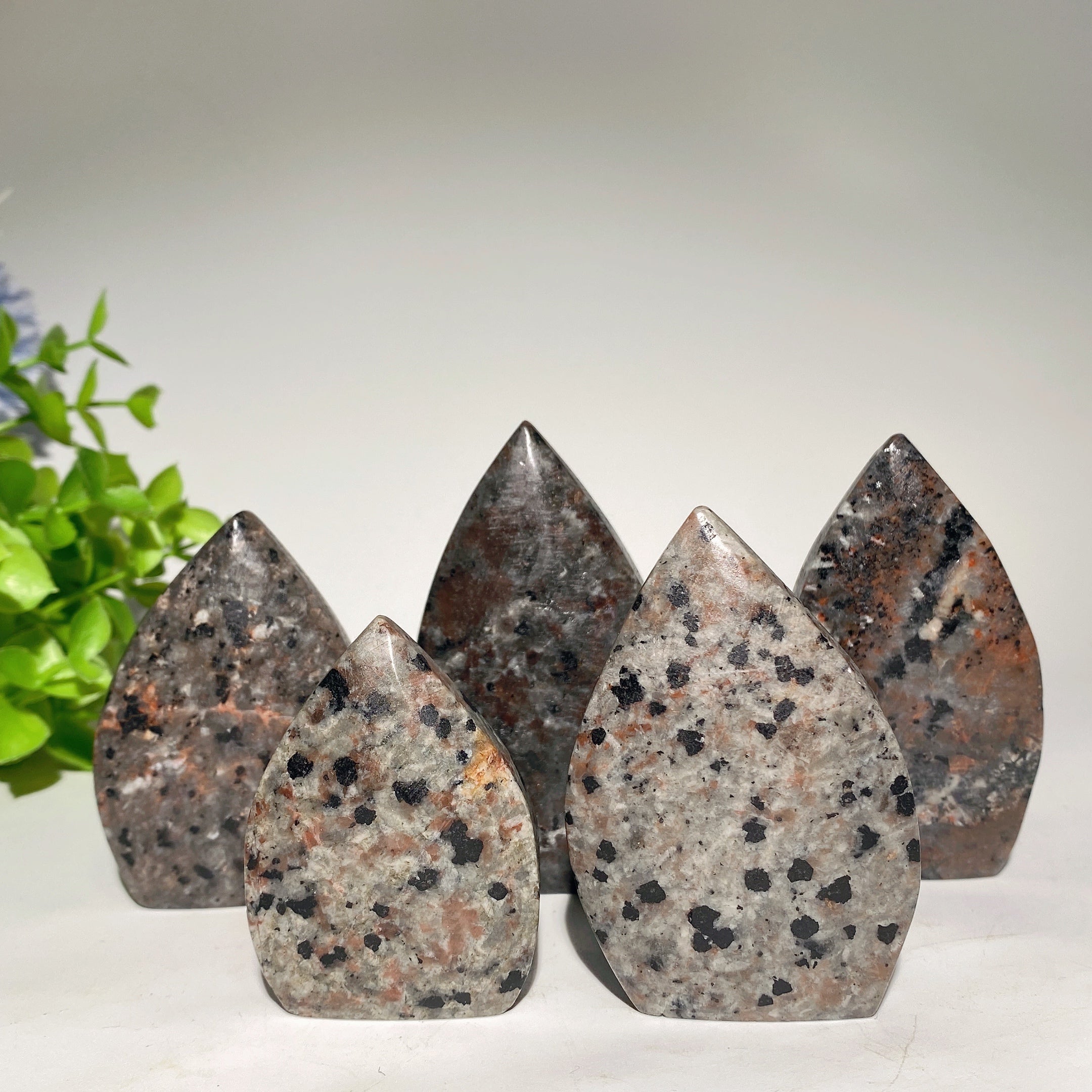 Yooperlite Free Form Crystal 2-3.5 inch Healing Stones