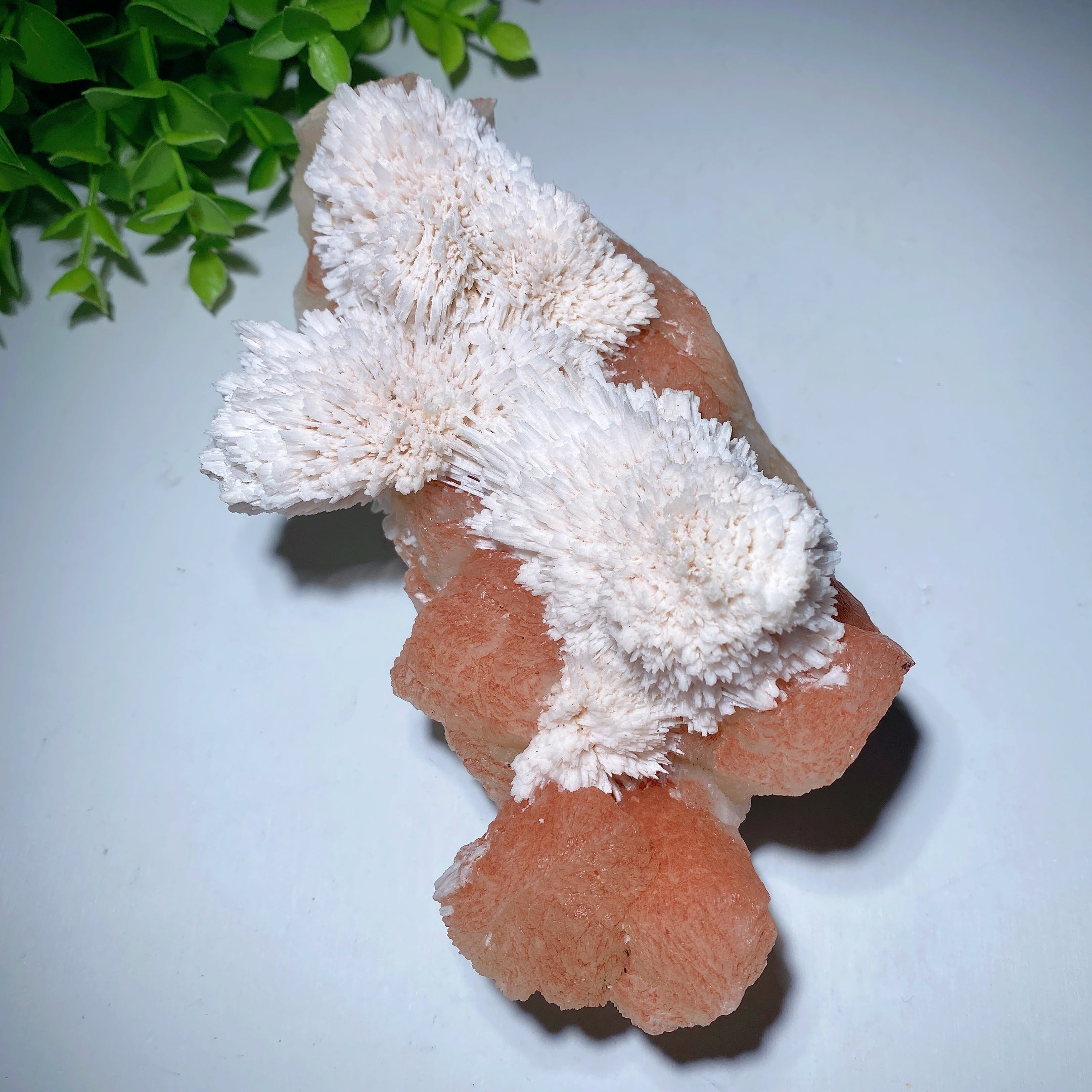 Zeolite Crystal Specimen 5-8in Natural Healing Display