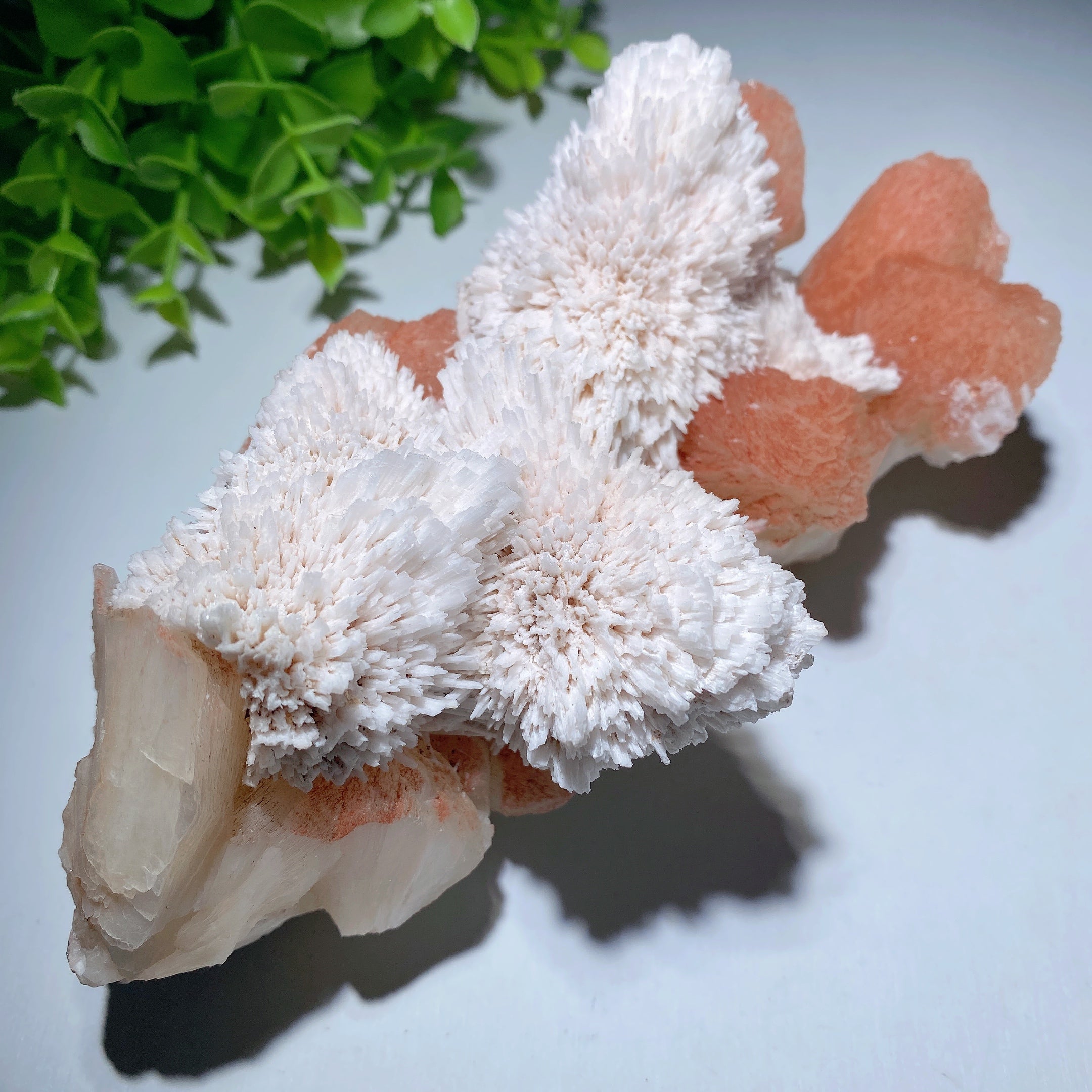 Zeolite Crystal Specimen 5-8in Natural Healing Display