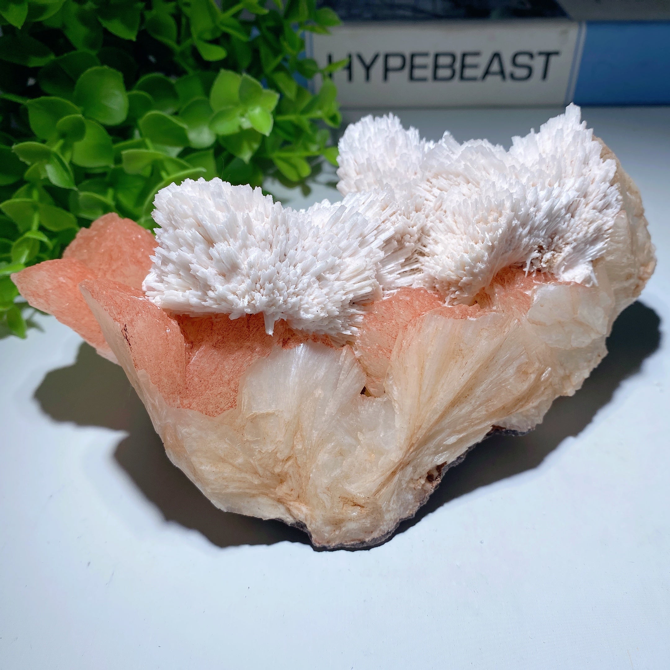 Zeolite Crystal Specimen 5-8in Natural Healing Display