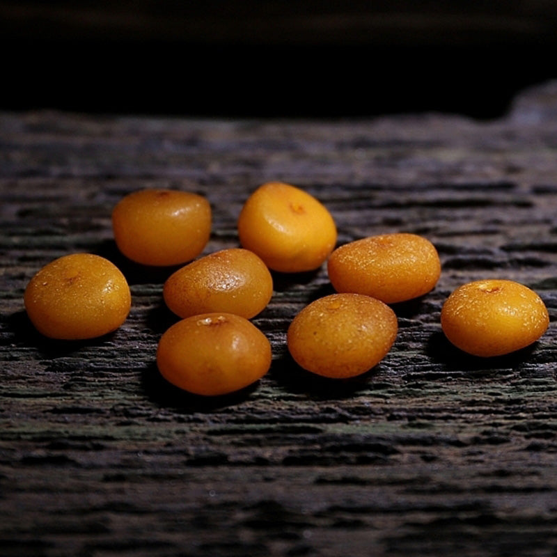 Yak Bone Amber 108 Bead Mala Bracelet for Balance