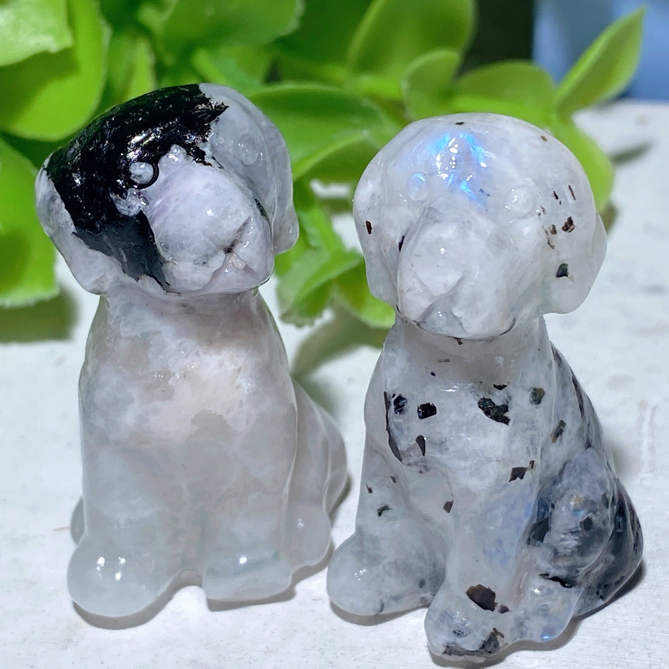 1.1-1.5 inch Rainbow Moonstone Animal Carvings for Healing