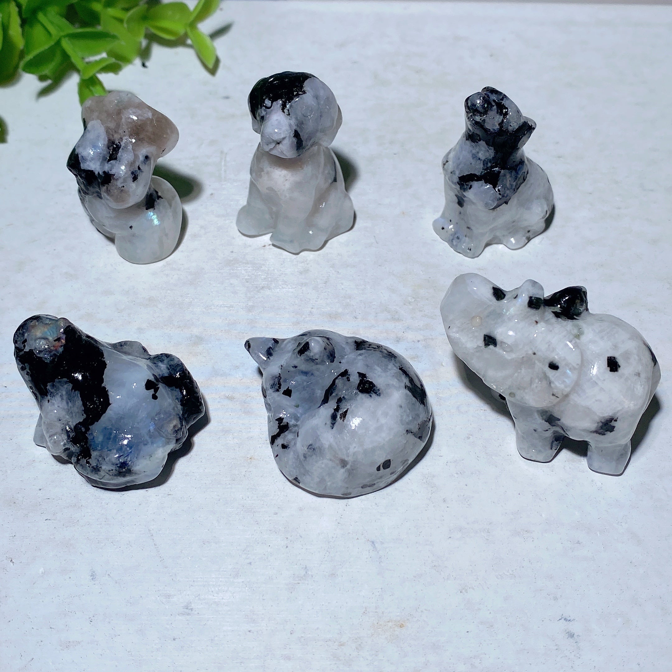 1.1-1.5 inch Rainbow Moonstone Animal Carvings for Healing