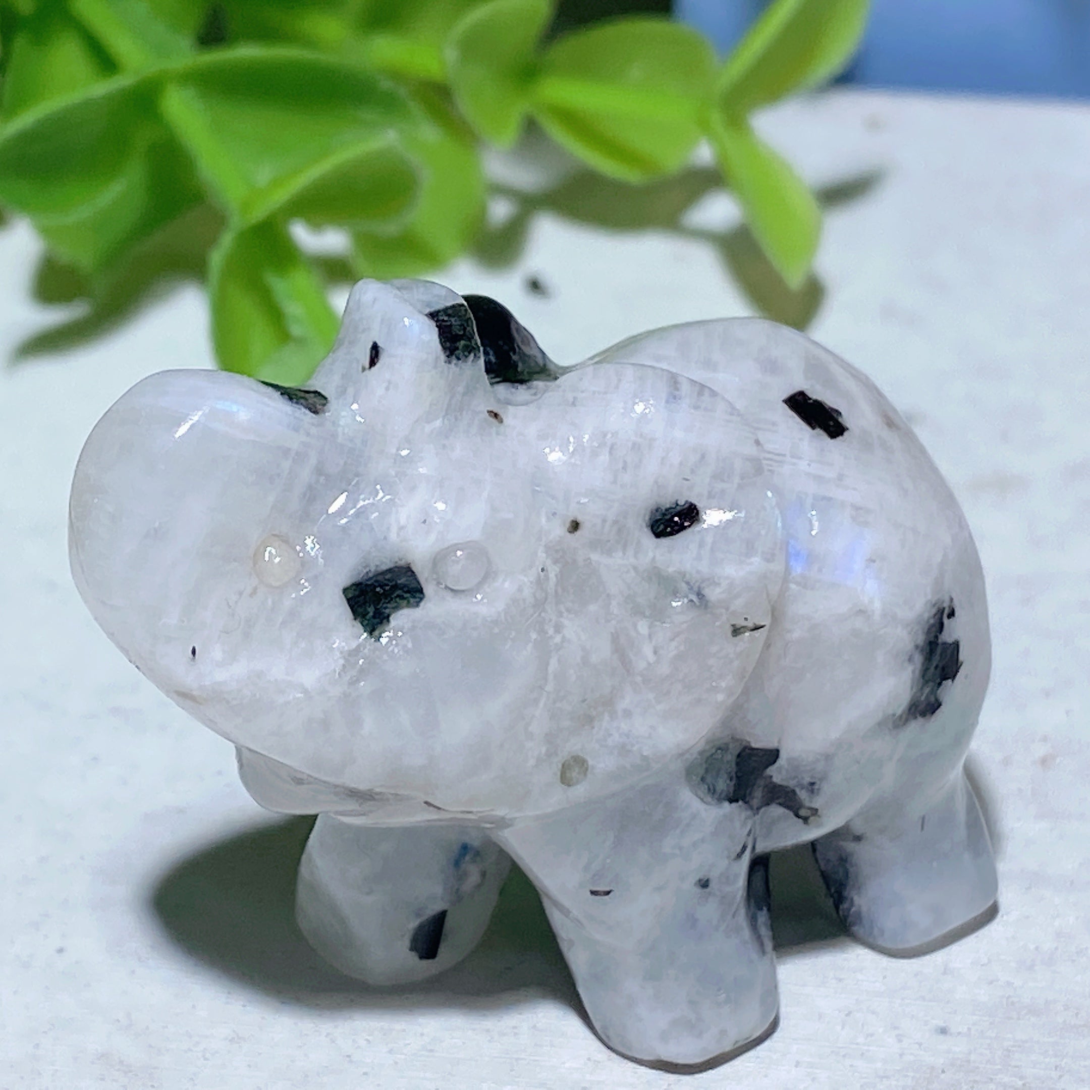 1.1-1.5 inch Rainbow Moonstone Animal Carvings for Healing