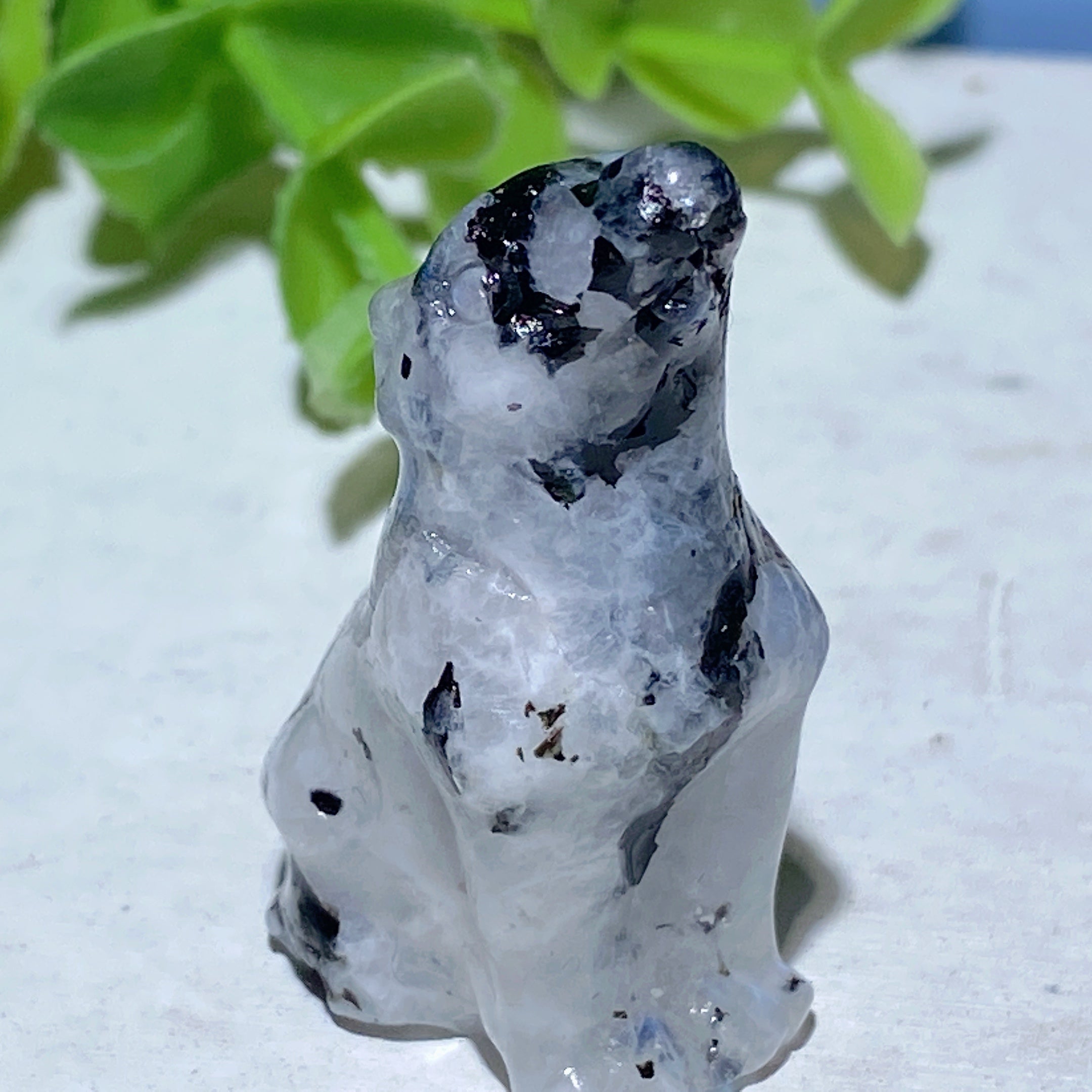 1.1-1.5 inch Rainbow Moonstone Animal Carvings for Healing