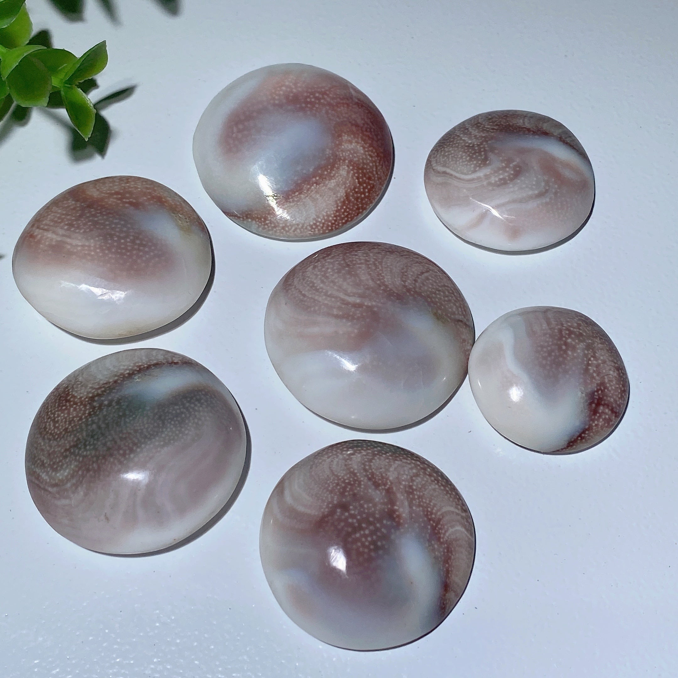1.1-1.5 inch Shiva's Eye Crystal Carvings for Healing