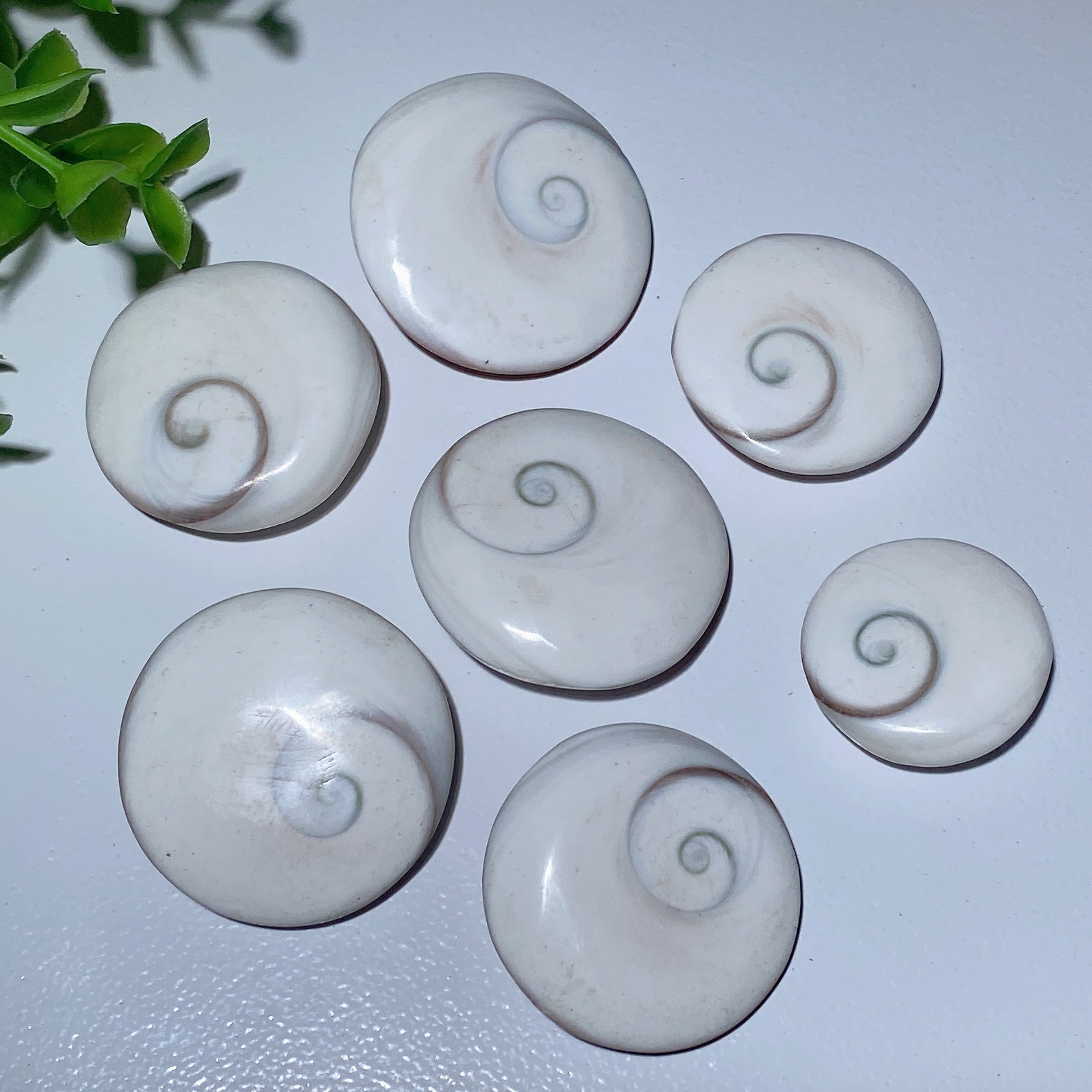 1.1-1.5 inch Shiva's Eye Crystal Carvings for Healing