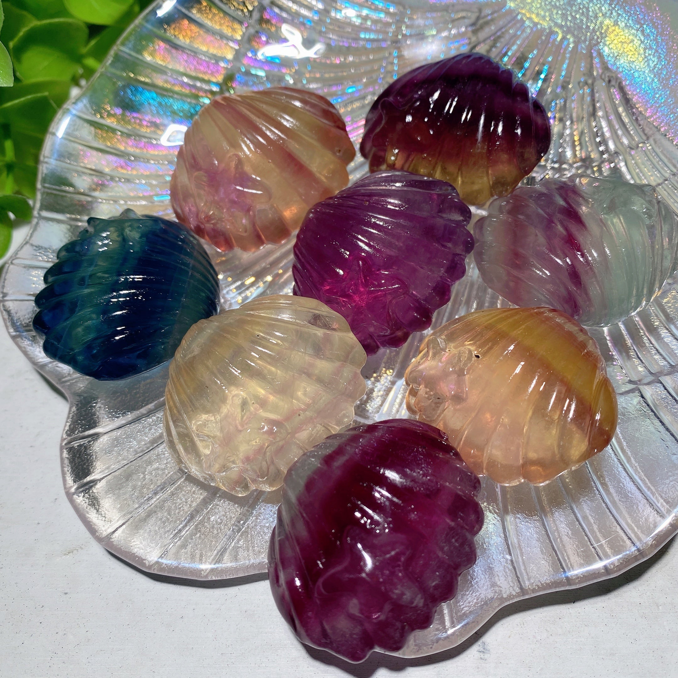 1.4 inch Mixed Fluorite Shell Crystal Figurine Healing Carving