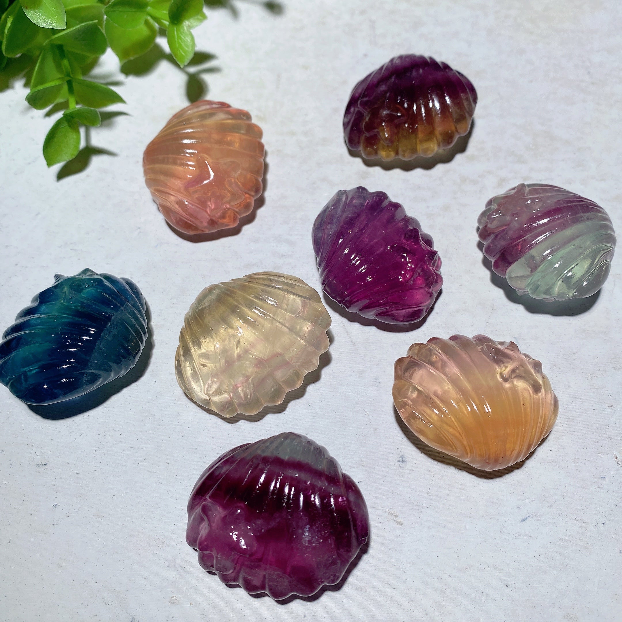 1.4 inch Mixed Fluorite Shell Crystal Figurine Healing Carving