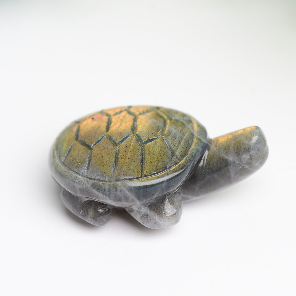 1.6 inch Labradorite Crystal Turtle Carving for Prosperity