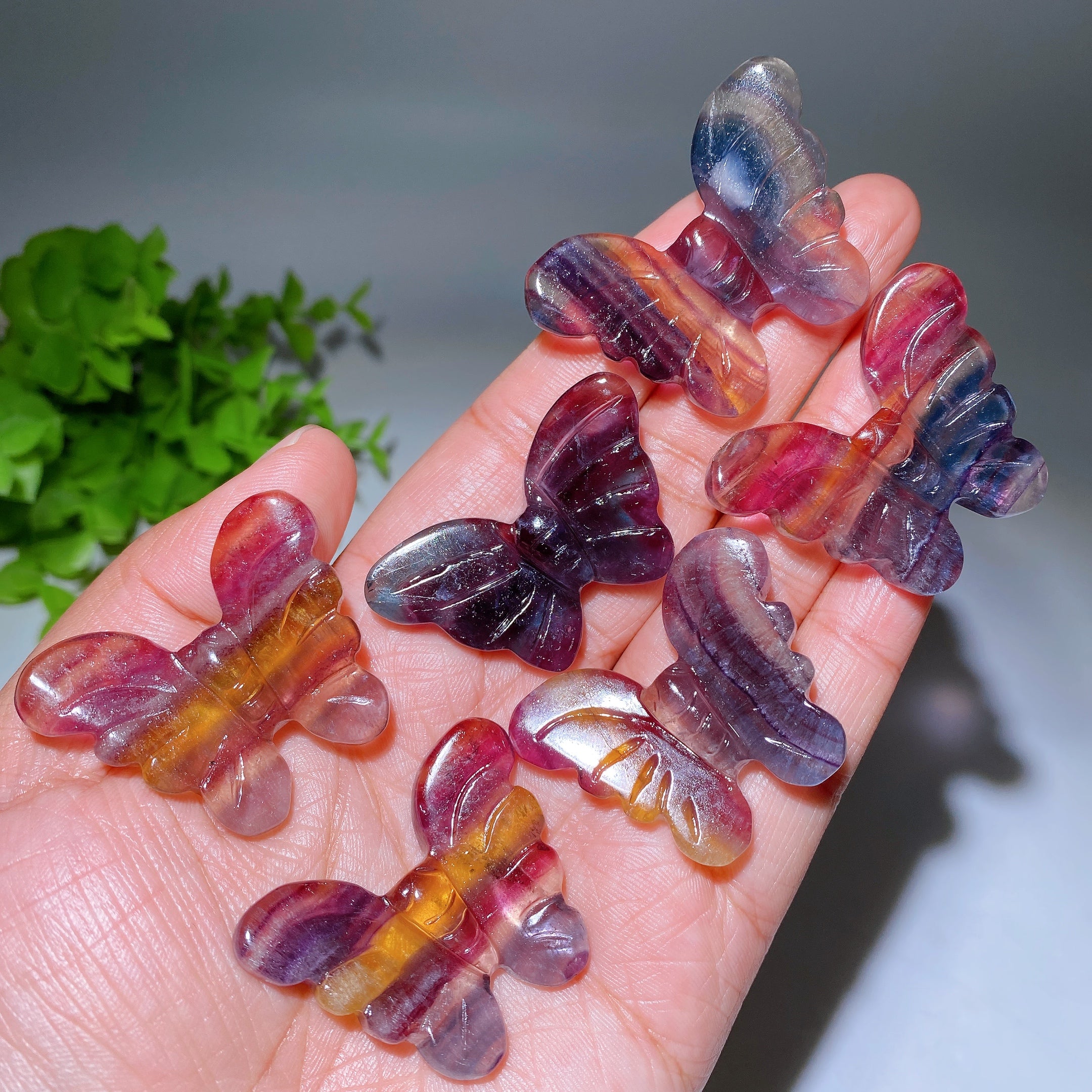 1.6 Inch Rainbow Fluorite Butterfly Crystal Figurine