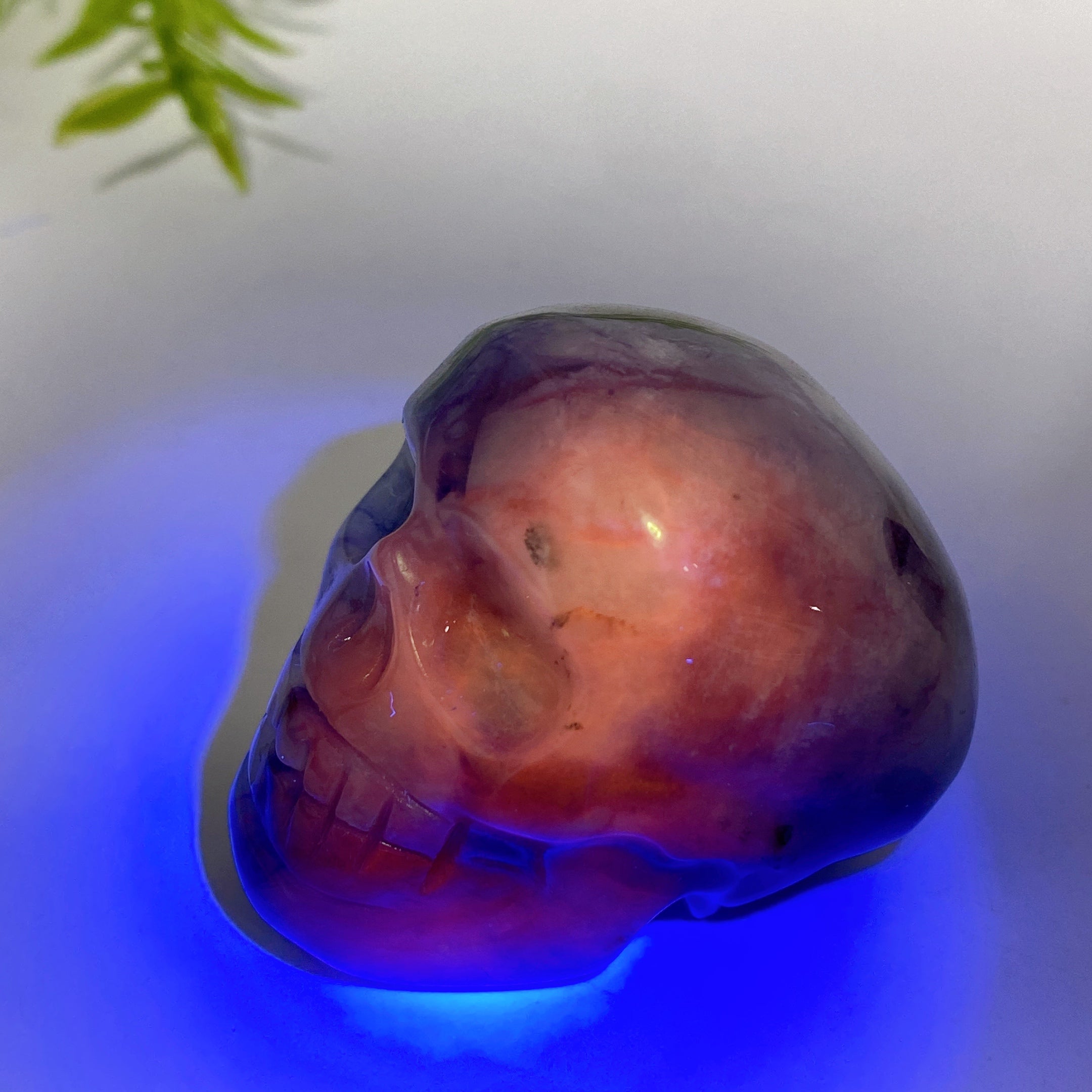 1.8 Inch Sodalite Crystal Skull Carving for Healing