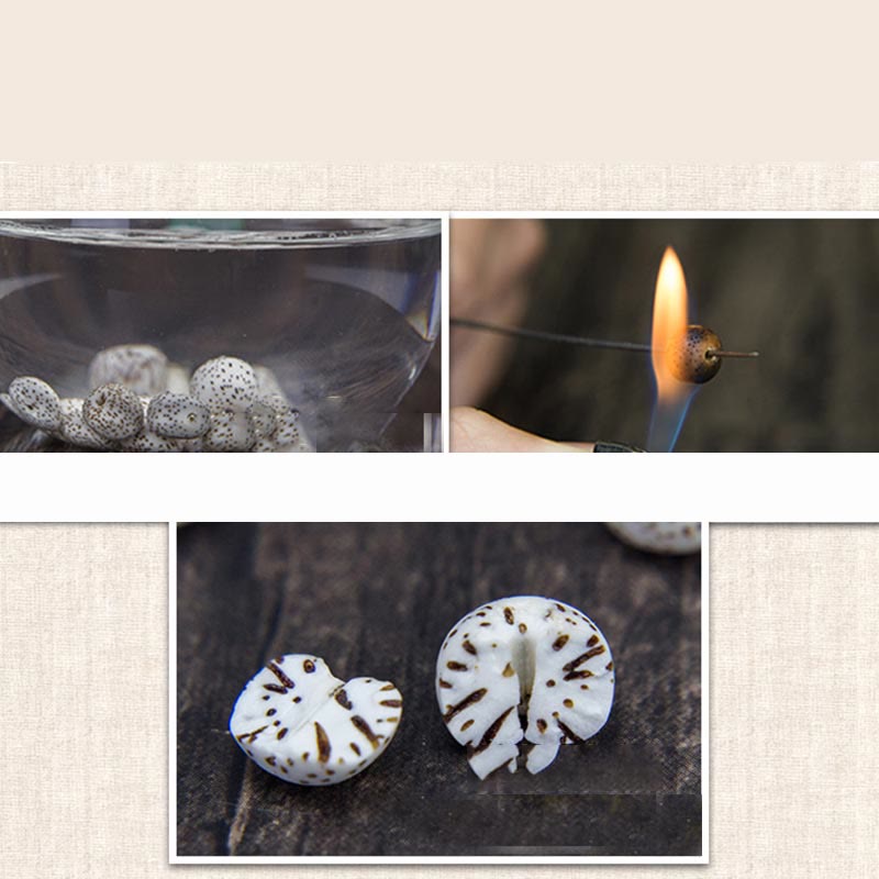 108 Beads Bodhi Seed Mala Bracelet | Avalokitesvara Pixiu Guan Gong