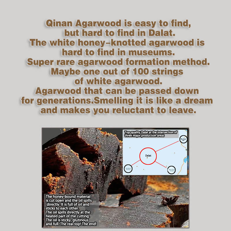 10mm Agarwood Strength Bracelet - Rare Dalat White Qinan Sinking