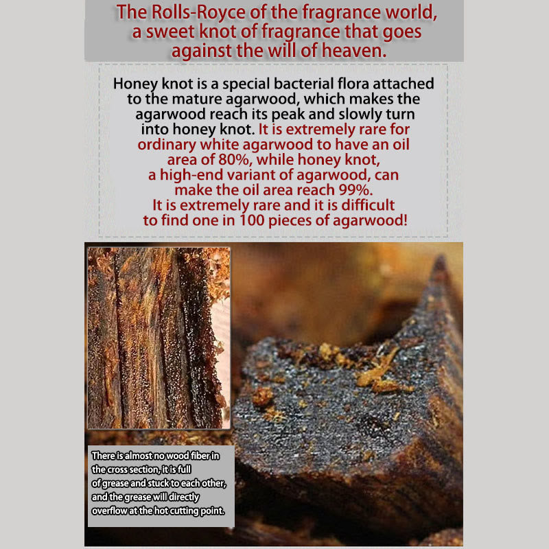 10mm Agarwood Strength Bracelet - Rare Dalat White Qinan Sinking