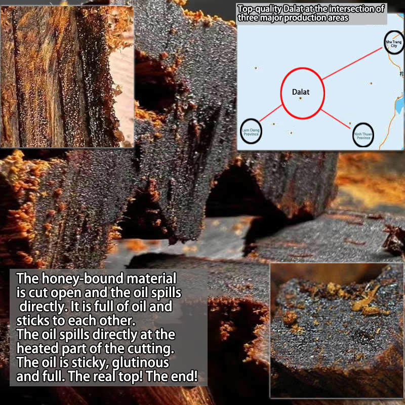 10mm Agarwood Strength Bracelet - Rare Dalat White Qinan Sinking