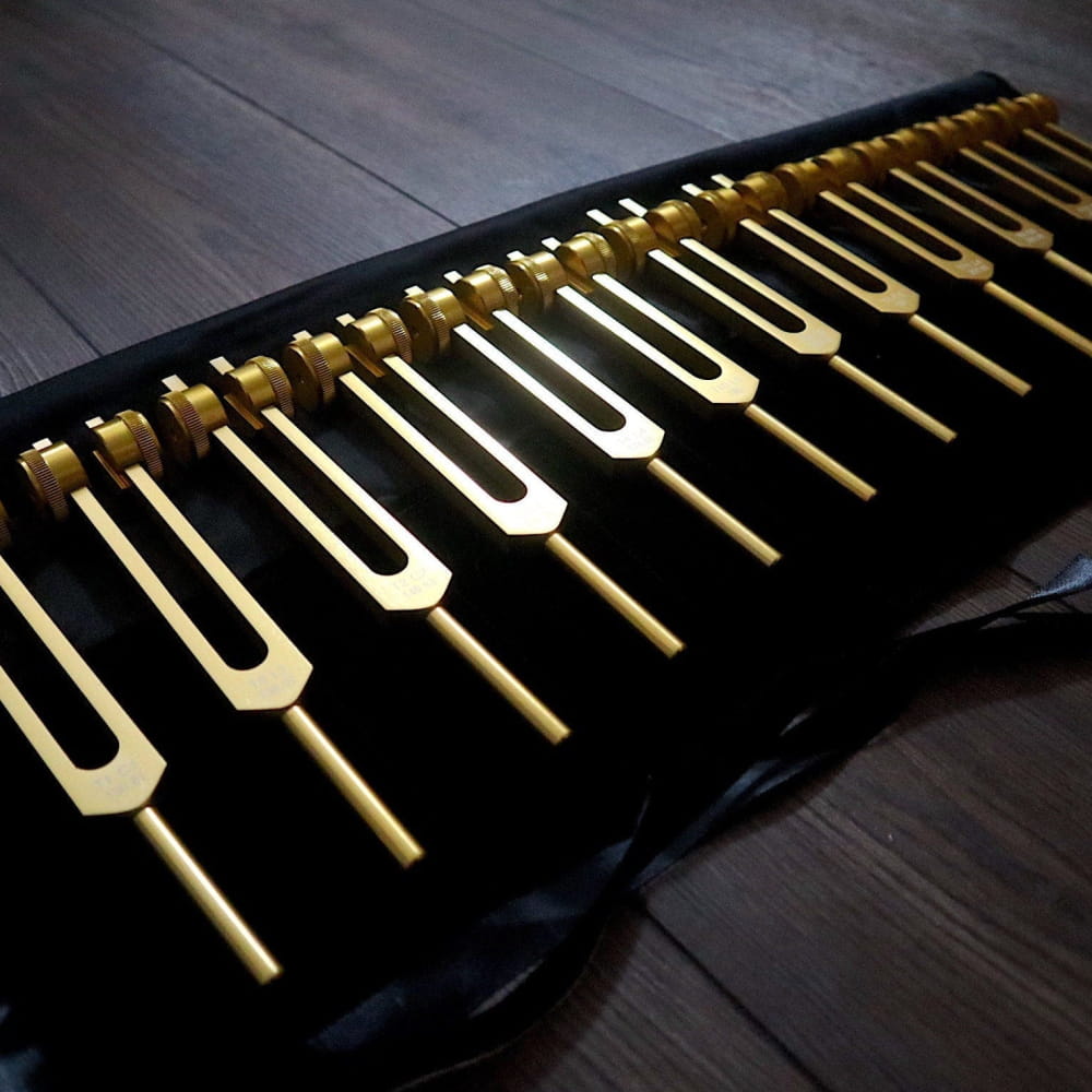 Row of golden tuning forks on a black surface in 12pc Song of the Spine set