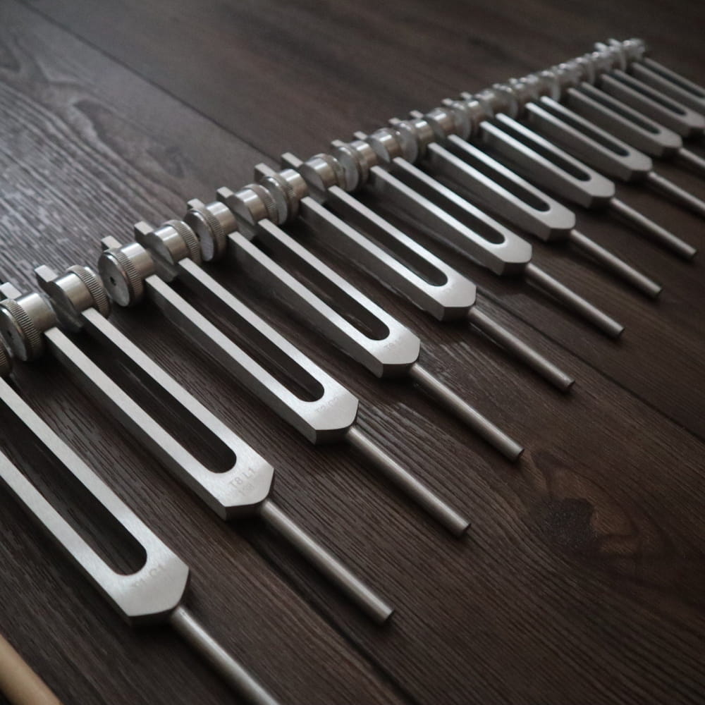 12pc Tuning Fork Set for Healing - Sound Vibration with Bag - Silver / No Activator - On sale
