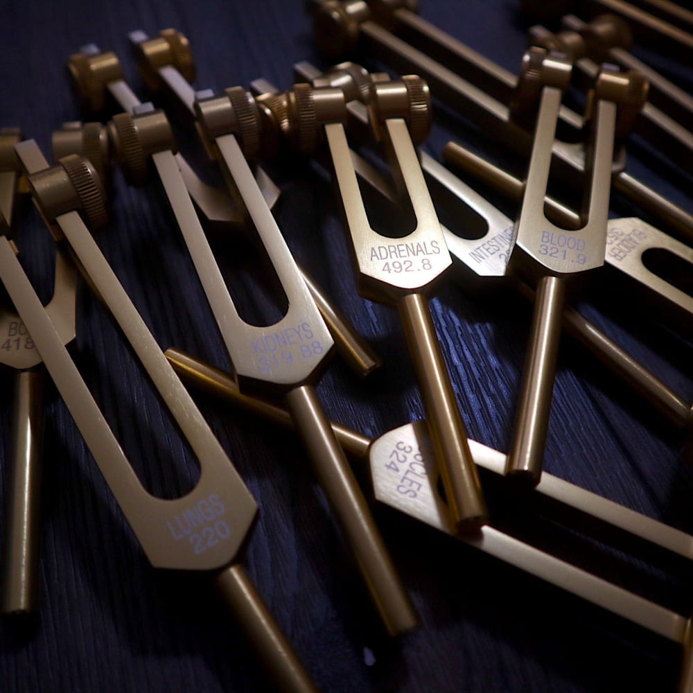 15pc Tuning Fork Set for Human Organ and Cell Healing with metal tuning forks arranged in a row