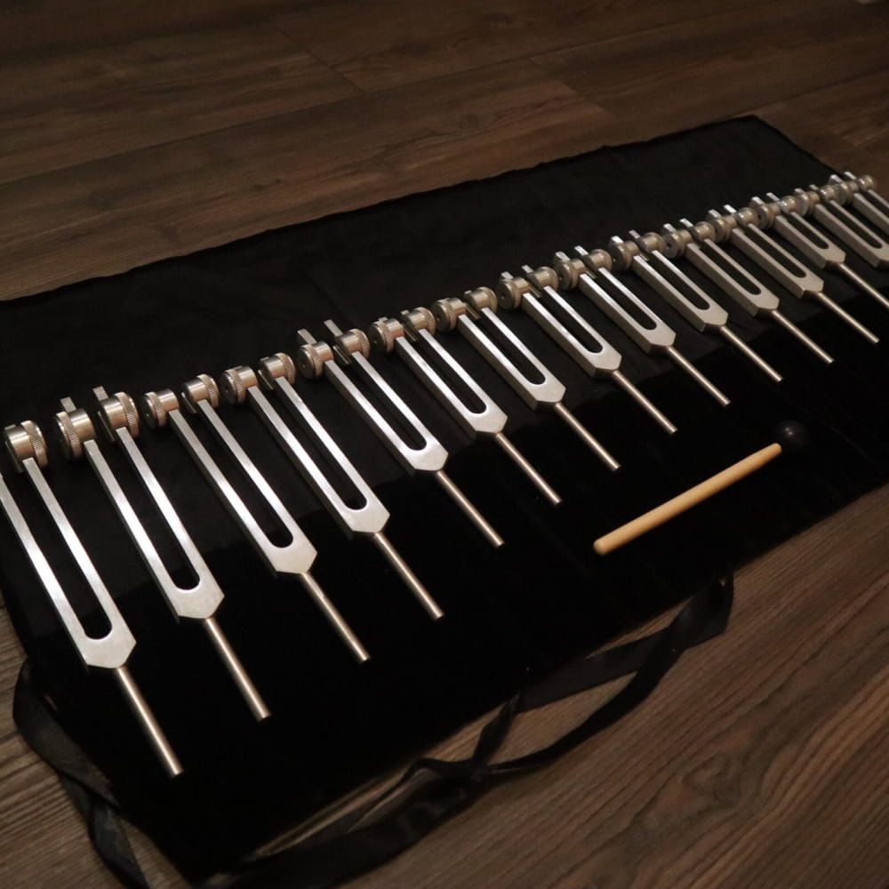 Collection of tuning forks on a black case for human organ and cell healing set