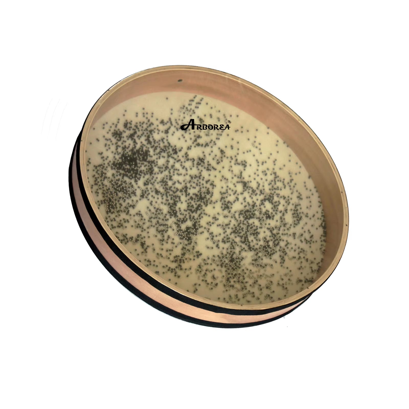 Petri dish with dark speckled growth on pale medium beside Ocean Wave Drum Instrument