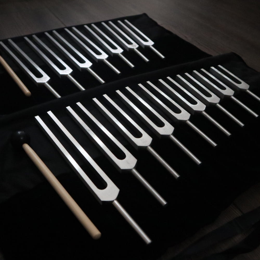 17pc Solfeggio & Chakra Tuning Fork Set with Carry Bag - Silver - On sale