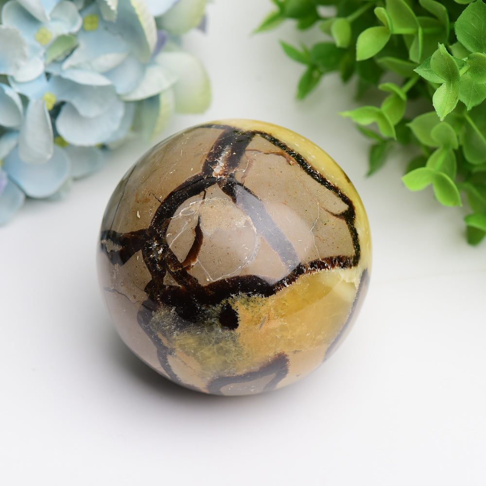 Septarium Septarium Crystal Sphere 2.0-3.5 inch | Healing Sounds