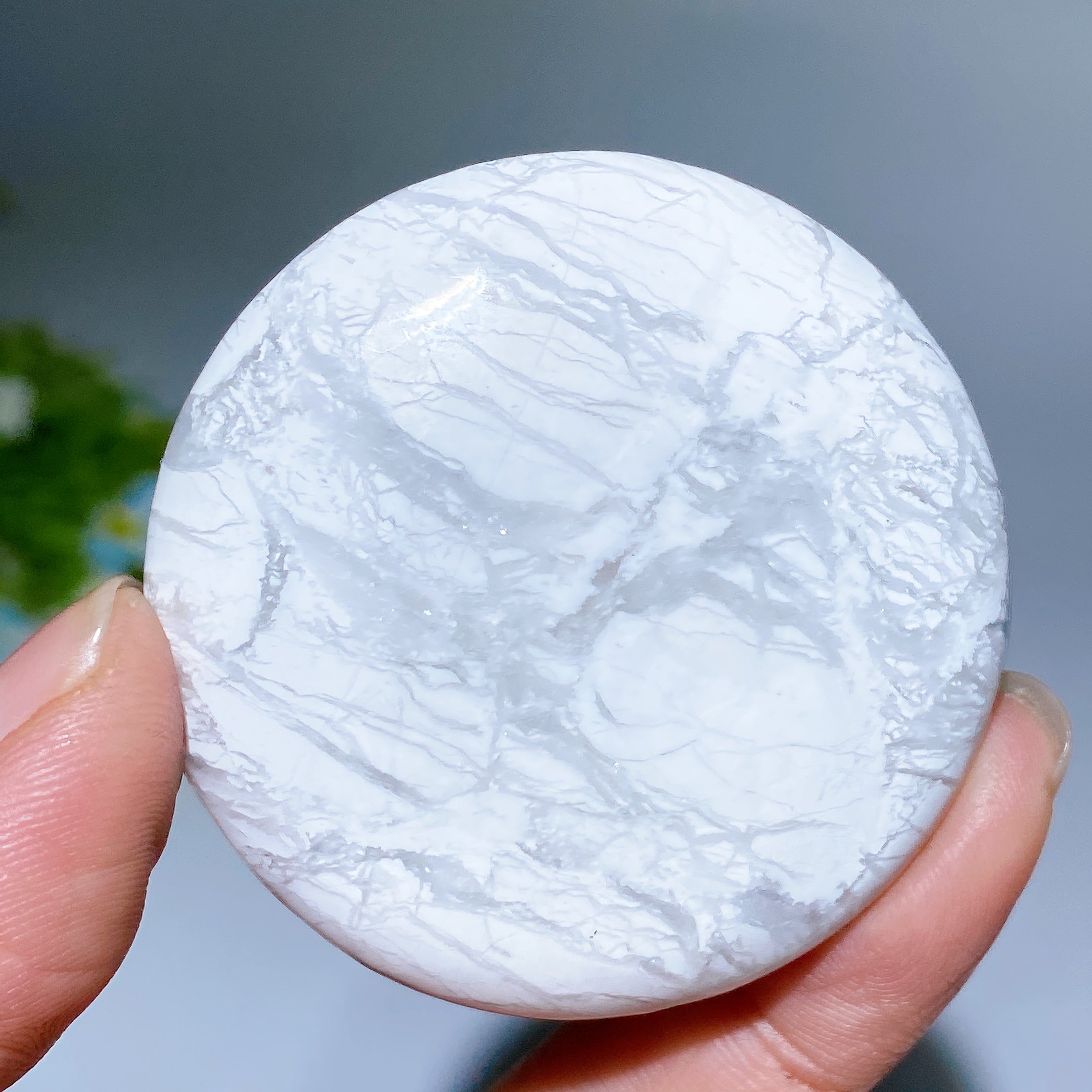 2.0 Inch Howlite Round Palm Stone for Healing Meditation