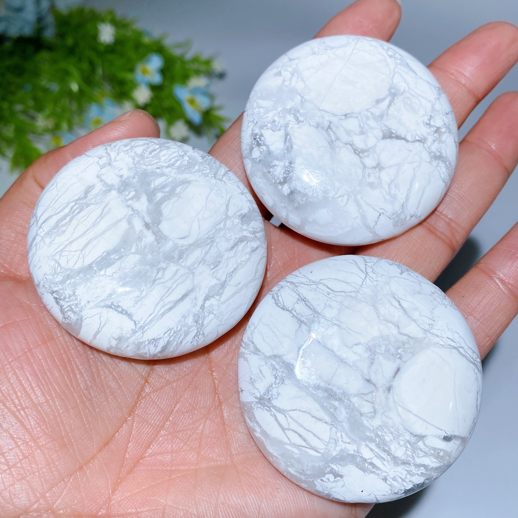 2.0 Inch Howlite Round Palm Stone for Healing Meditation