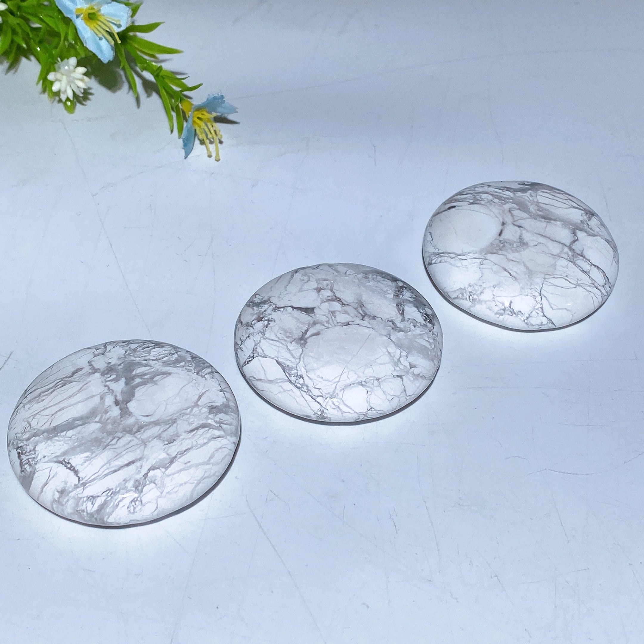 2.0 Inch Howlite Round Palm Stone for Healing Meditation
